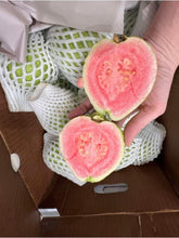 Load image into Gallery viewer, Pink Guava - 10 LB - Free Express Shipping
