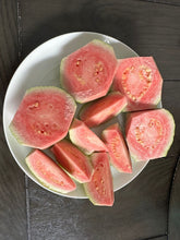 Load image into Gallery viewer, Pink Guava - 10 LB - Free Express Shipping
