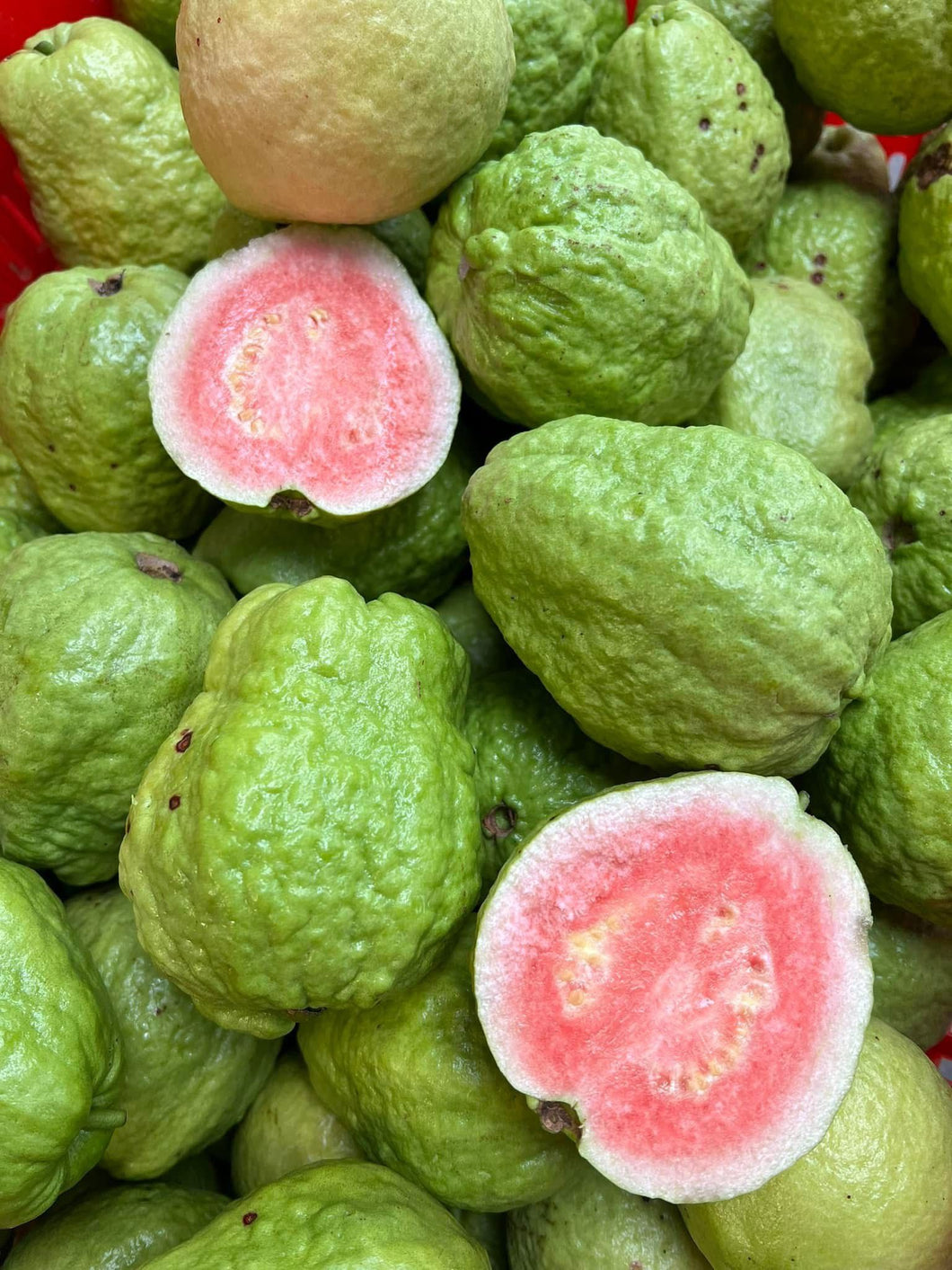 Pink Guava - 5 LB - Free Express Shipping