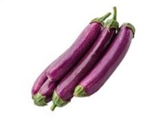 SL005_Indian Purple Long Brinjal Seedling - 