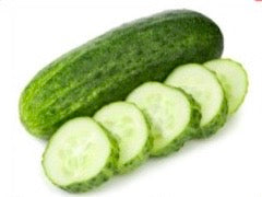 SL018_Indian Keera Cucumber Seedling - 