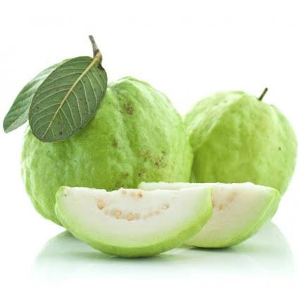 Thai White Guava - Air Layered